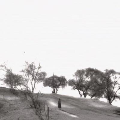 secret：踩碎的枯叶藏不住秘密