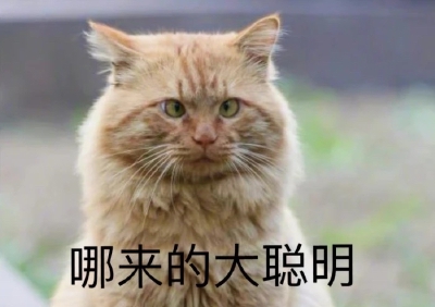 表情包