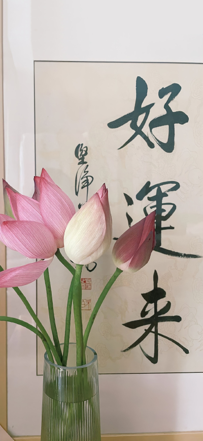 壁纸