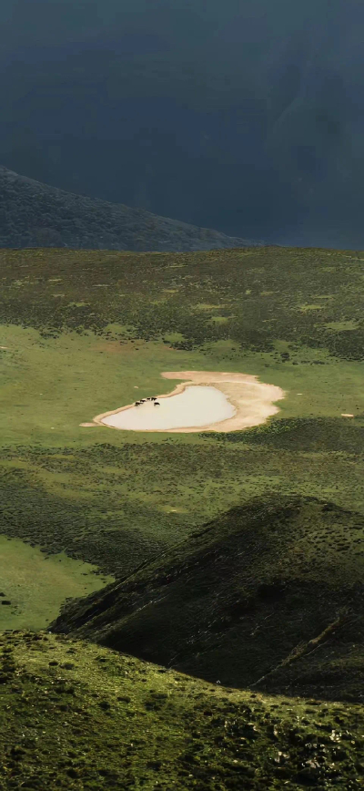 景