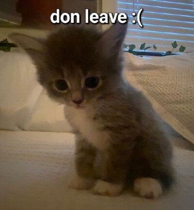 don