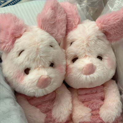 ︎Sweetᐇ