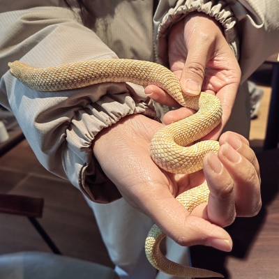 可爱的宝宝们