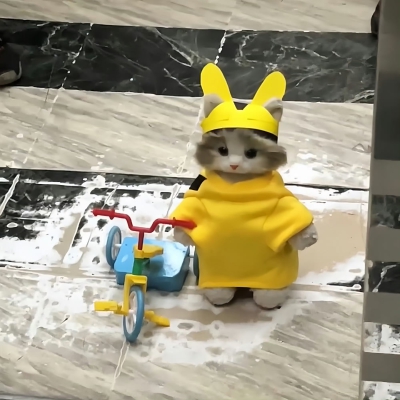 变装小猫 