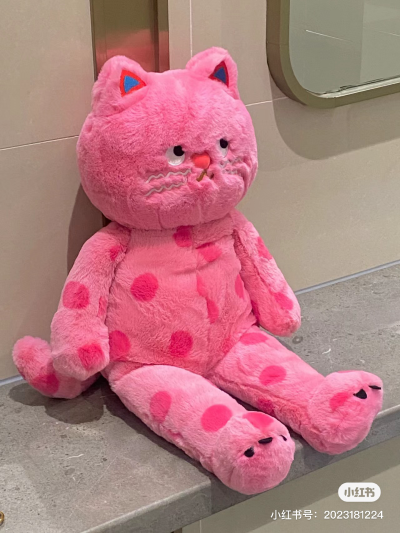 波点猫
