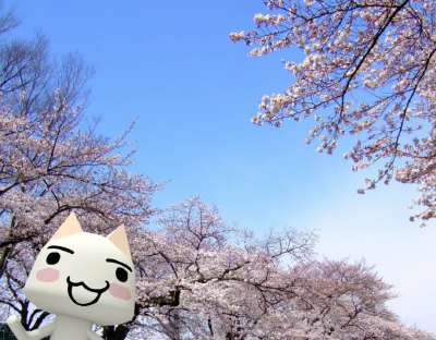 ⁺.｡♥︎｡·°ᯅ °•｡♥︎｡.⁺