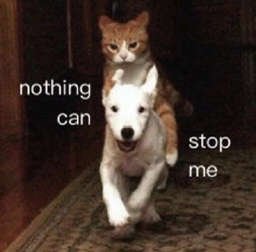 meme