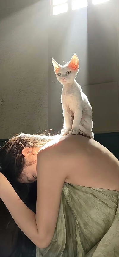 手机壁纸