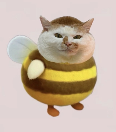 …