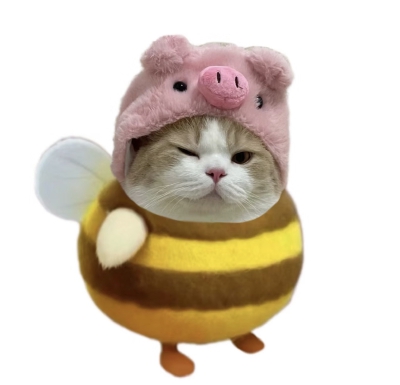 …