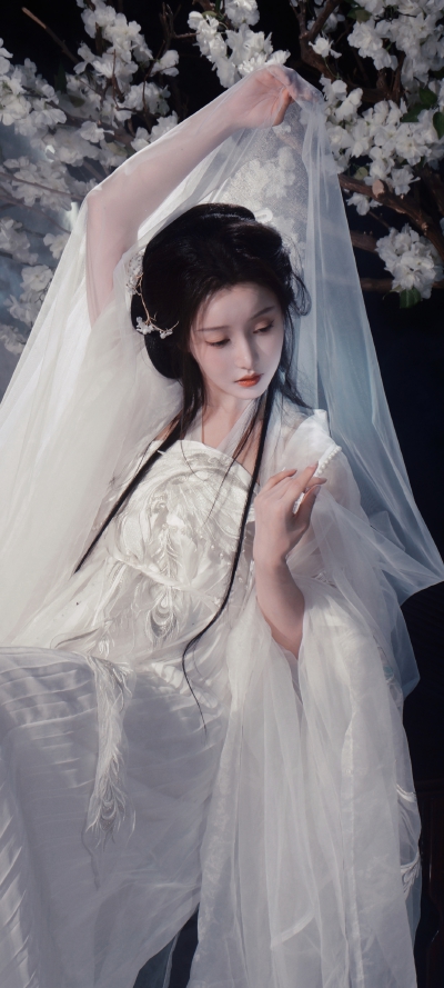 汉服
但愿人长久，千里共婵娟。
画中仙:@姜贞羽-Aisling
