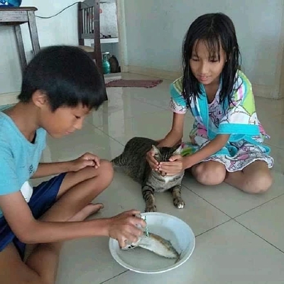 唉