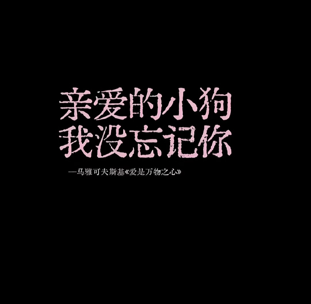 拿图收藏