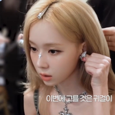 Earrings