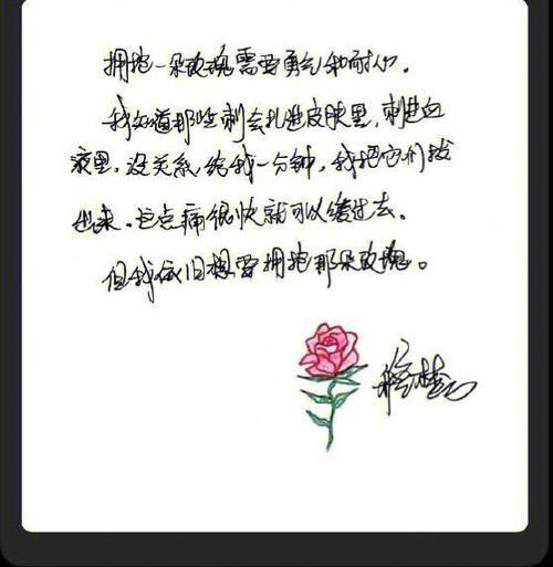 我只喜欢你的人设