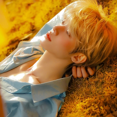 The Little Prince