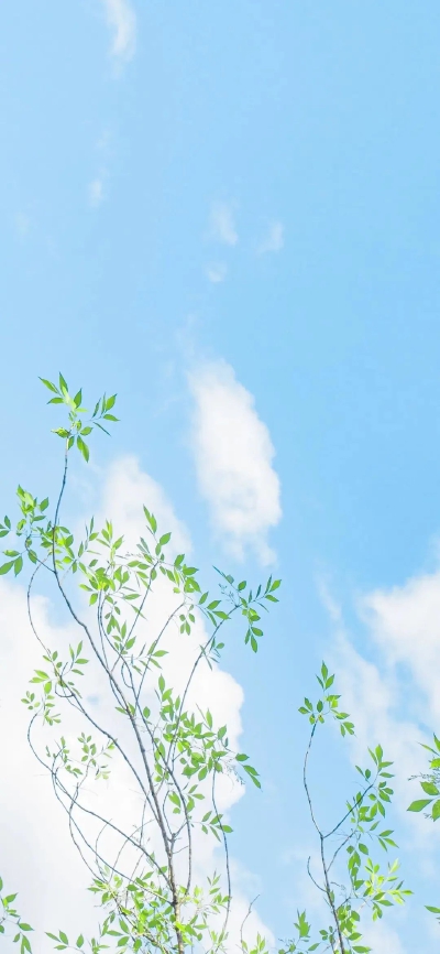 天空 海