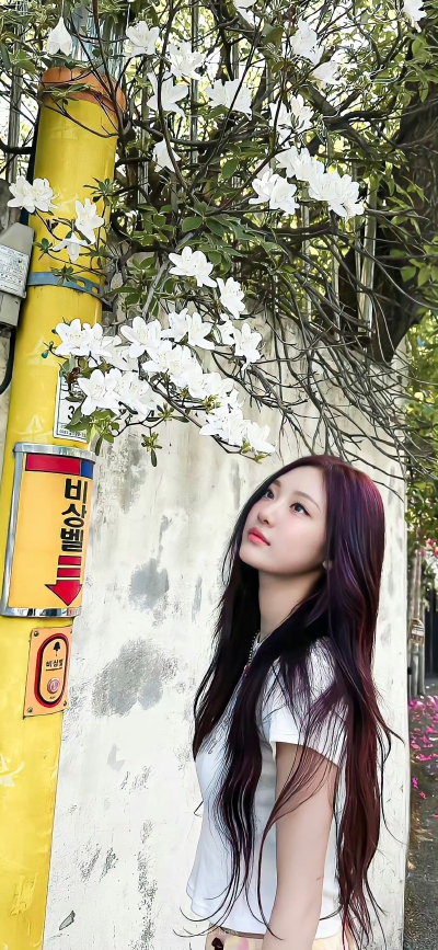 ningning
