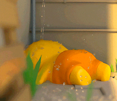 水豚噜噜