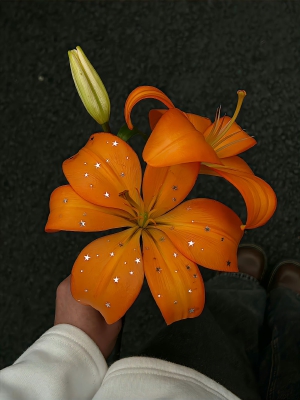 一束春天 ​