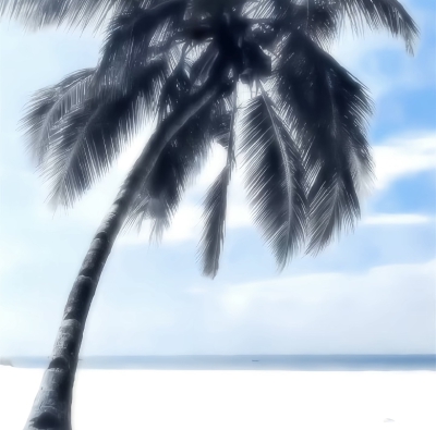 朋友圈背景