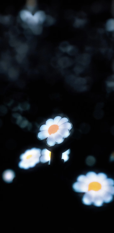 壁纸