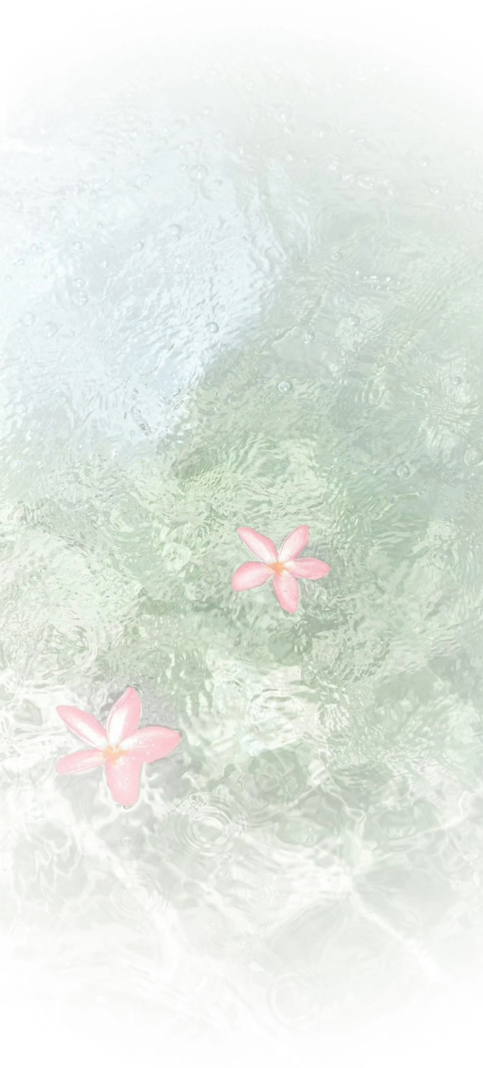 壁纸
