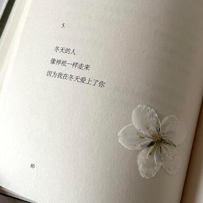 背景图