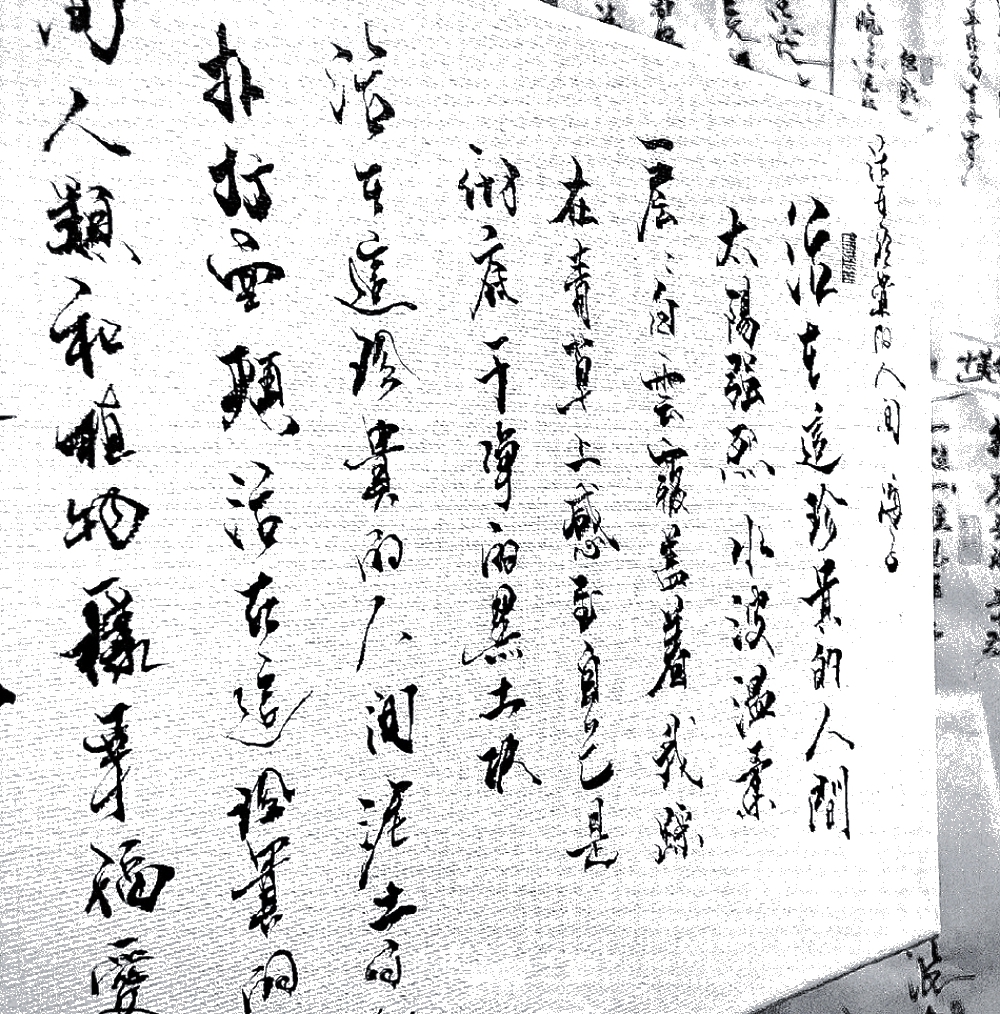一句此生不换 招摇我百转千凡
