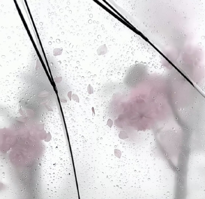 背景图