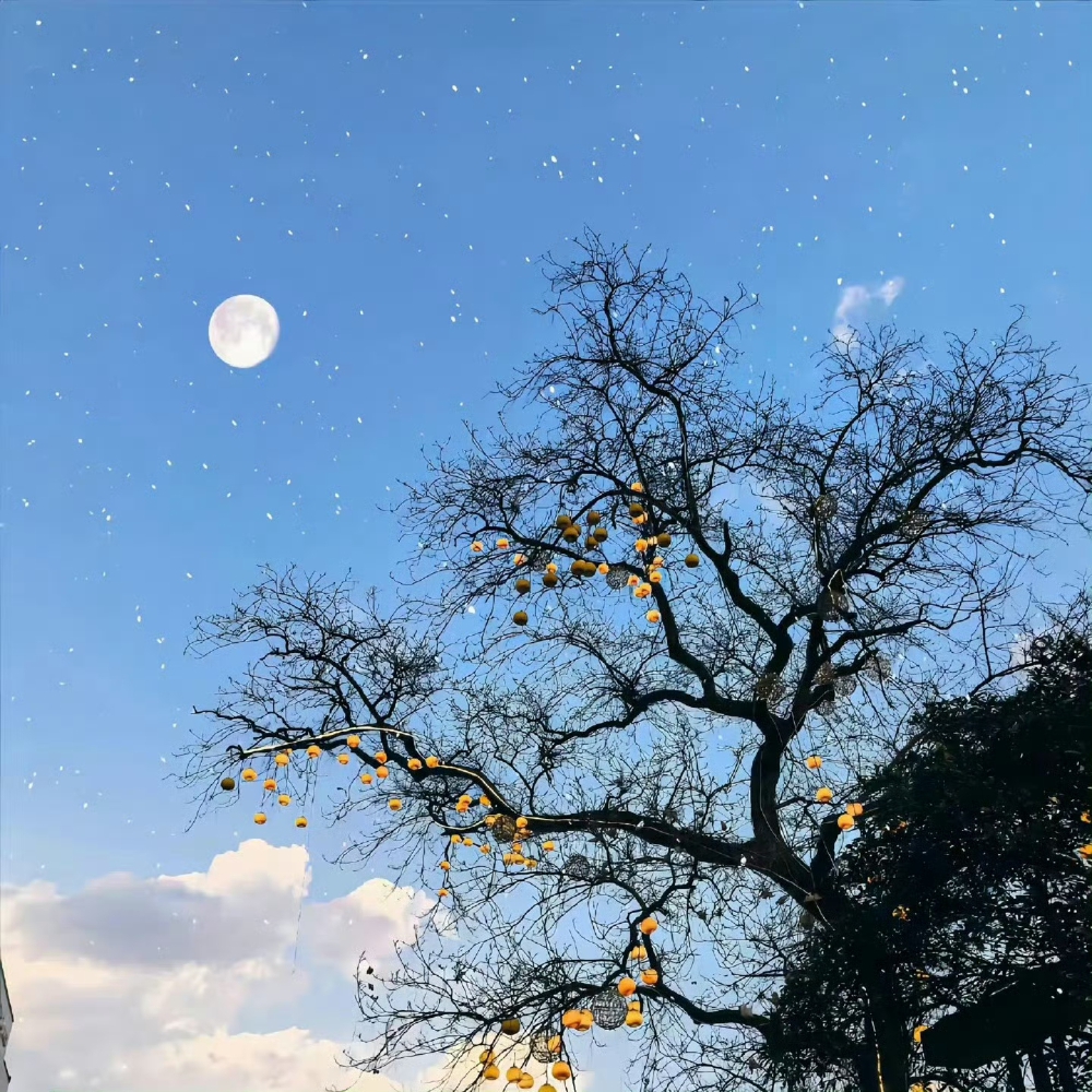 朋友圈背景图