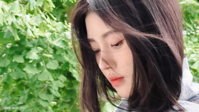鞠婧祎素材