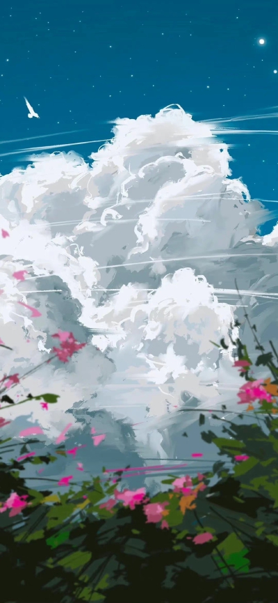 壁纸