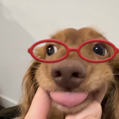 小可爱们