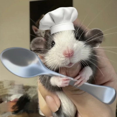 萌宠
