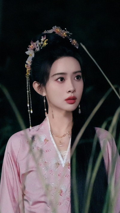 桃花映江山 姜桃花 孟子义