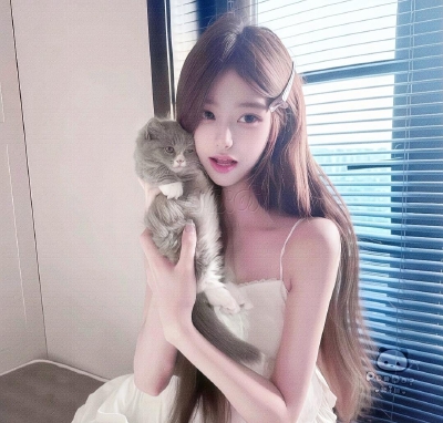 Doll