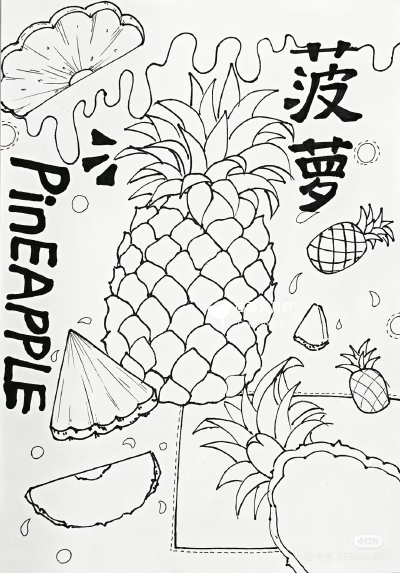 菠萝