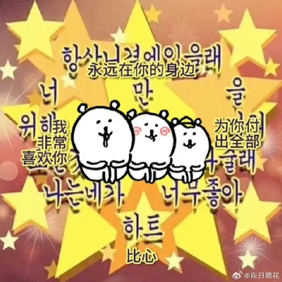 自嘲熊