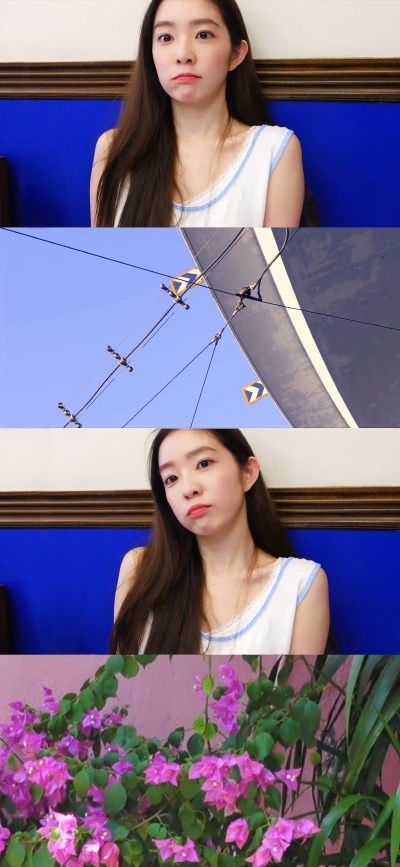 裴珠泫 壁纸