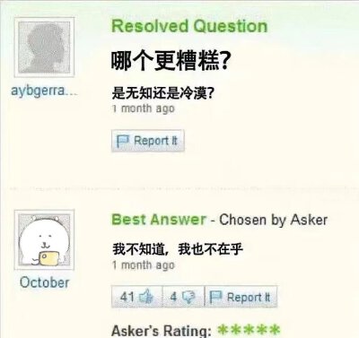 自嘲熊