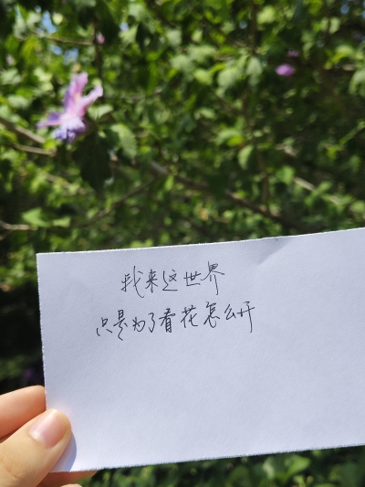 大自然就是最好的滤镜