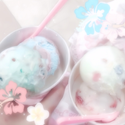 ハイビスカスの夏