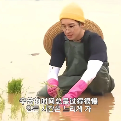表情包