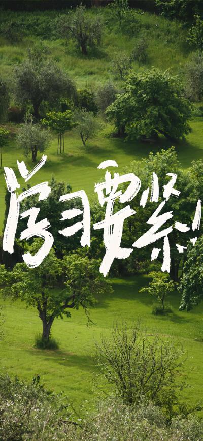治愈系手写文字壁纸 ​​​