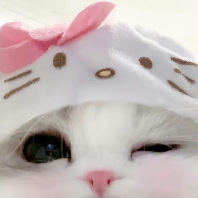 可爱猫猫头像