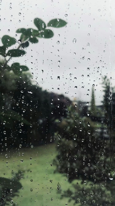 壁纸