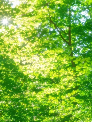 能量