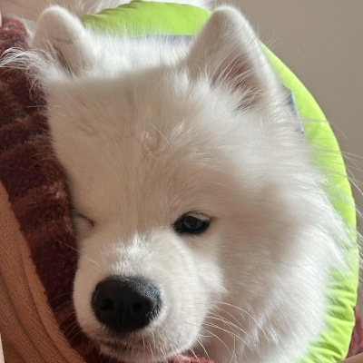 小可爱们