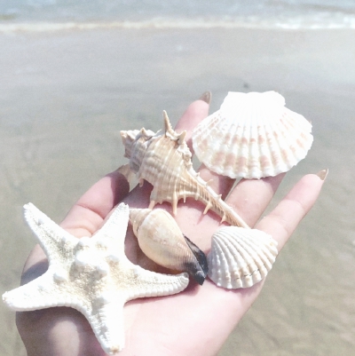 朴成训